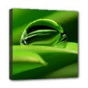 Waterdrop Mini Canvas 8  x 8  (Framed) View1