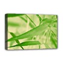 Bamboo Deluxe Canvas 18  x 12  (Framed) View1
