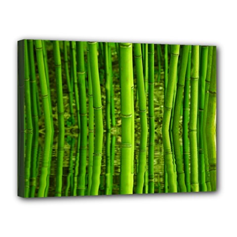 Bamboo Canvas 16  X 12  (framed) by Siebenhuehner