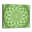 Spirograph Deluxe Canvas 24  x 20  (Framed) View1