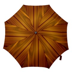 Shiny Striated Panel Hook Handle Umbrellas (medium) by trendistuff
