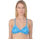 Reversible Tri Bikini Top View1