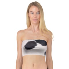 Spotted Cow Hide Women s Bandeau Tops by trendistuff