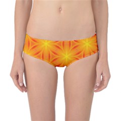 Cute Pretty Elegant Pattern Classic Bikini Bottoms by GardenOfOphir