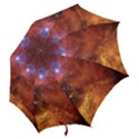 SKULL & CROSSBONES Hook Handle Umbrellas (Medium) View2