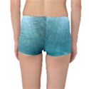 CRATER LAKE NATIONAL PARK Boyleg Bikini Bottoms View2