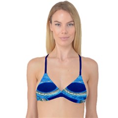 Great Blue Hole 2 Reversible Tri Bikini Tops by trendistuff