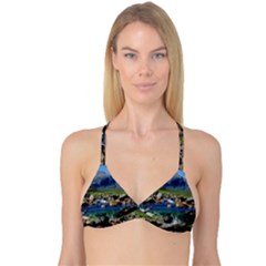 The Clisham Reversible Tri Bikini Tops by trendistuff