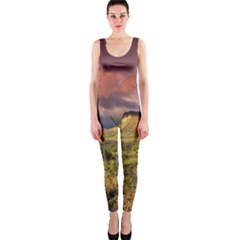 Chapada Diamantina 1 Onepiece Catsuits by trendistuff