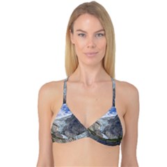 Briksdalsbreen Reversible Tri Bikini Tops by trendistuff