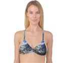 BRIKSDALSBREEN Reversible Tri Bikini Tops View3