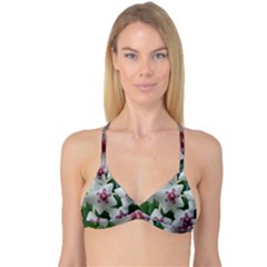 Hoyabella Reversible Tri Bikini Tops by trendistuff