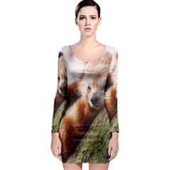 Red Panda Long Sleeve Bodycon Dresses by trendistuff