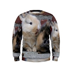 Small Baby Rabbits Boys  Sweatshirts by trendistuff