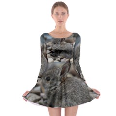Small Baby Bunny Long Sleeve Skater Dress by trendistuff