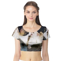 Calico Cat And White Kitty Short Sleeve Crop Top by trendistuff