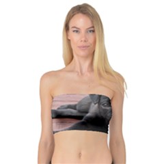 Alert Pug Puppy Women s Bandeau Tops by trendistuff
