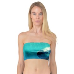 Great White Shark 1 Women s Bandeau Tops by trendistuff