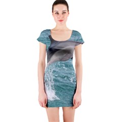 Dolphin Short Sleeve Bodycon Dresses by trendistuff