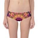 Gemstone Dream Classic Bikini Bottoms View1