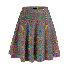 Peacock Eyes In A Contemplative Style High Waist Skirt by pepitasart