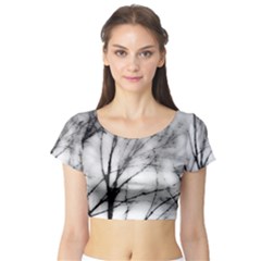 Misty Haze Short Sleeve Crop Top (tight Fit) by RoseanneJonesPhotography