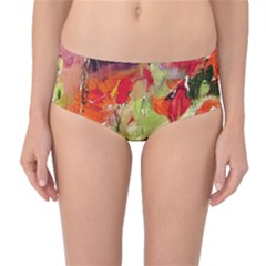 Abstract Poppys  Mid-waist Bikini Bottoms by artistpixi