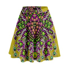 Fantasy Flower Peacock With Some Soul In Popart High Waist Skirt by pepitasart
