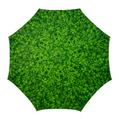 Shamrock Clovers Green Irish St  Patrick Ireland Good Luck Symbol 8000 Sv Golf Umbrellas by yoursparklingshop