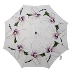 White Magnolia Pencil Drawing Art Hook Handle Umbrellas (medium) by picsaspassion