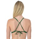 Pescado Fish Con Pasta And Baby Fishes Reversible Tri Bikini Top View4