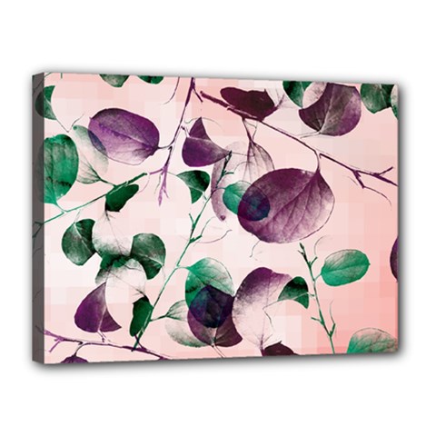 Spiral Eucalyptus Leaves Canvas 16  X 12  by DanaeStudio