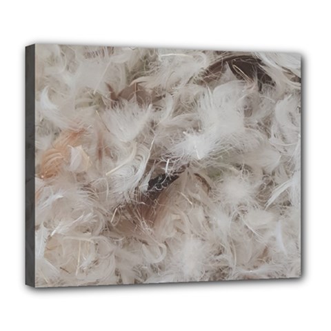 Down Comforter Feathers Goose Duck Feather Photography Deluxe Canvas 24  X 20   by yoursparklingshop