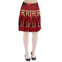 Dcllv7 Pleated Skirt by DetroitCityLimitsLimited