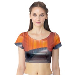 Architecture Art Bright Color Short Sleeve Crop Top (tight Fit) by Amaryn4rt