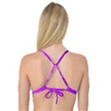 Circular Color Reversible Tri Bikini Top View2