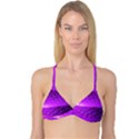 Circular Color Reversible Tri Bikini Top View3