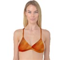Bright Tech Background Reversible Tri Bikini Top View3