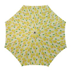 Pattern Template Lemons Yellow Golf Umbrellas by Nexatart