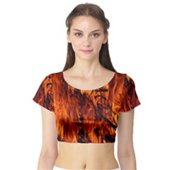 Fire Easter Easter Fire Flame Short Sleeve Crop Top (tight Fit) by Nexatart