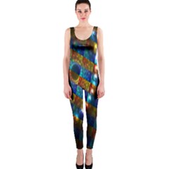 Fractal Digital Art Onepiece Catsuit by Nexatart