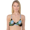Crab Nebula Reversible Tri Bikini Top View1