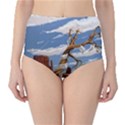 Acrylic Paint Paint Art Modern Art High-Waist Bikini Bottoms View1