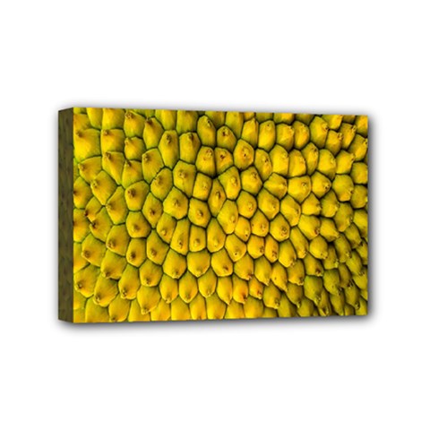 Jack Shell Jack Fruit Close Mini Canvas 6  X 4  by Amaryn4rt
