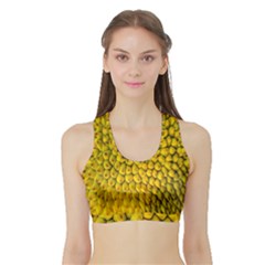 Jack Shell Jack Fruit Close Sports Bra With Border by Amaryn4rt