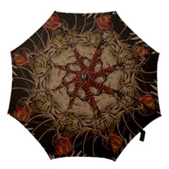 Chinese Dragon Hook Handle Umbrellas (medium) by Amaryn4rt