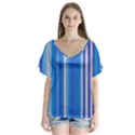 Color Stripes Blue White Pattern Flutter Sleeve Top View1