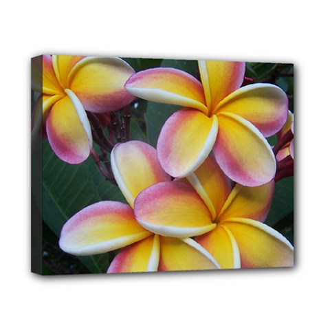 Premier Mix Flower Canvas 10  X 8  by alohaA