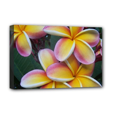 Premier Mix Flower Deluxe Canvas 18  X 12   by alohaA