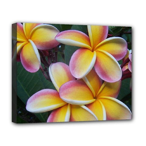 Premier Mix Flower Deluxe Canvas 20  X 16   by alohaA